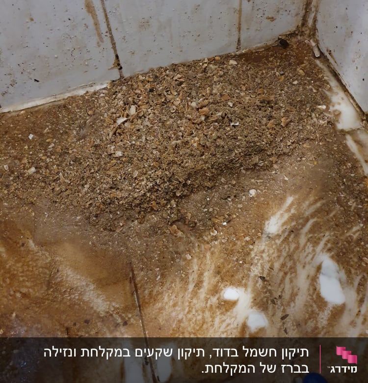 לכלוך ופסולת על רצפה רטובה עם כלי כחול